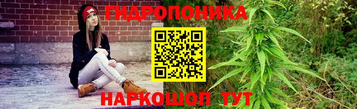 Шишки марихуана гибрид  Вход с VPN  Конопля Amnesia  Балашов  Бошки марихуана гибрид 