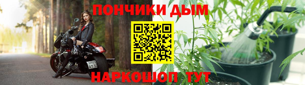Бошки Шишки сатива Балашов